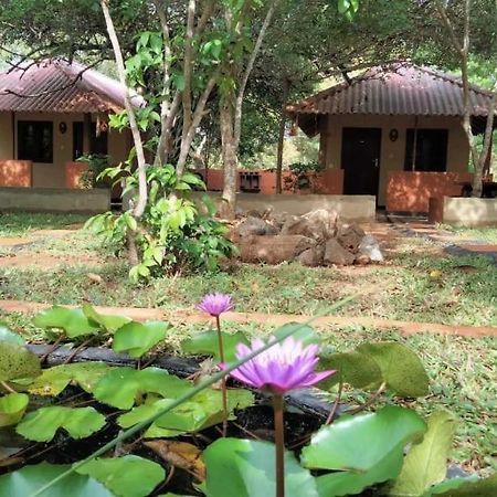 Hotel Niyagala Lodge 锡吉里亚 外观 照片