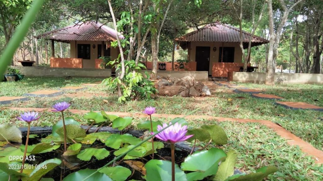Hotel Niyagala Lodge 锡吉里亚 外观 照片