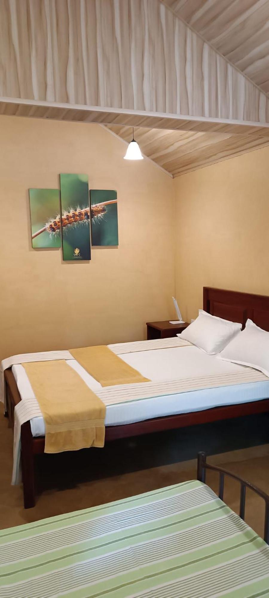 Hotel Niyagala Lodge 锡吉里亚 外观 照片