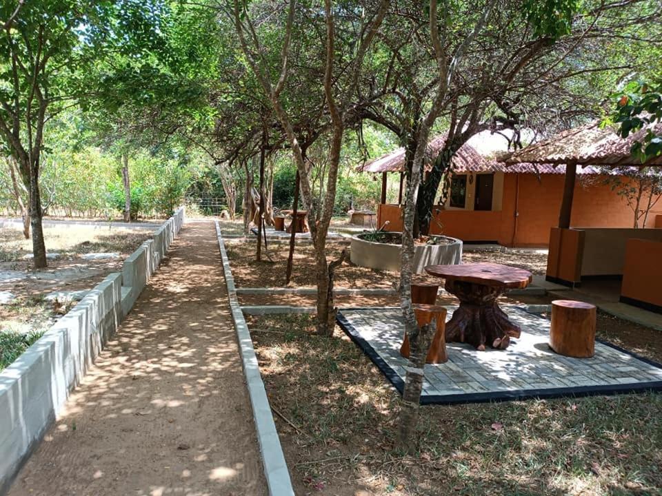 Hotel Niyagala Lodge 锡吉里亚 外观 照片