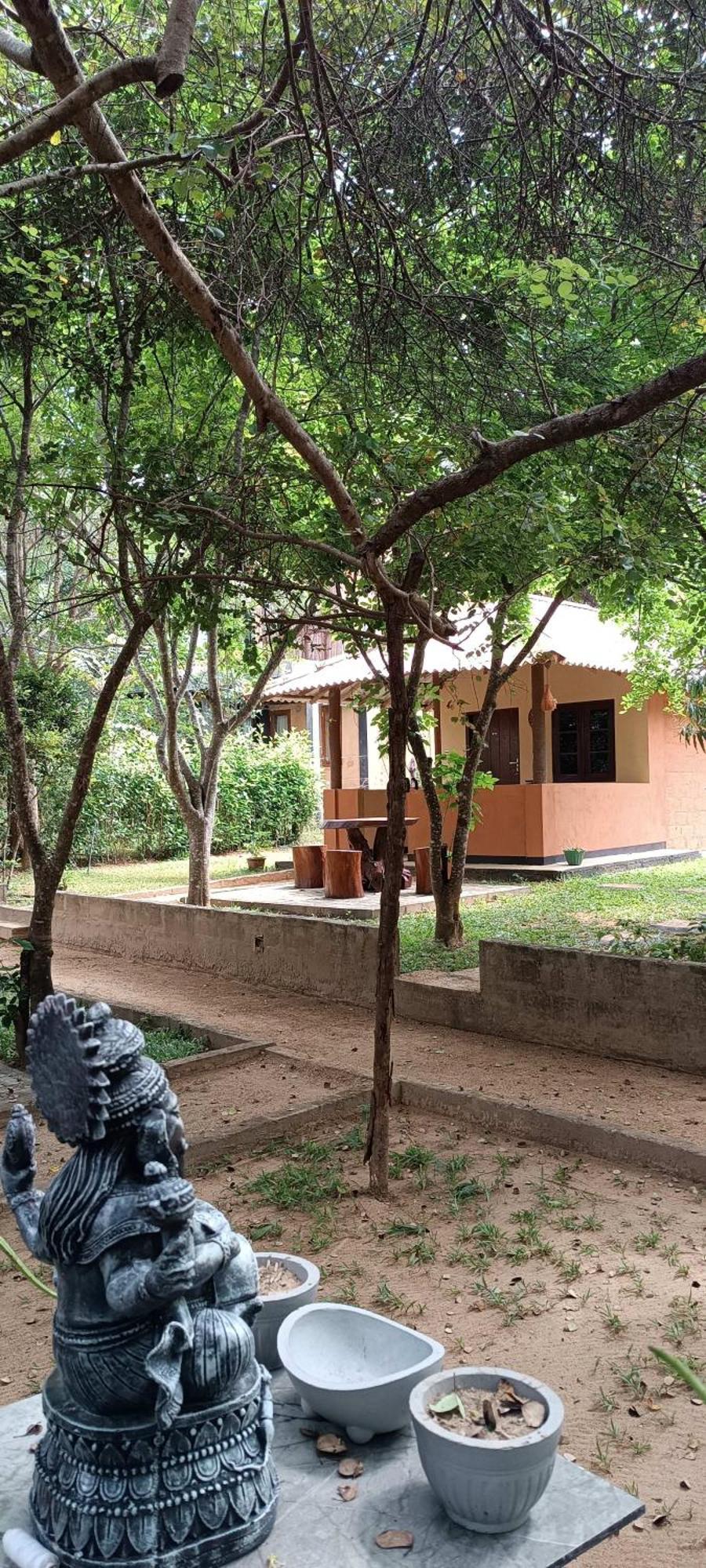 Niyagala Lodge 锡吉里亚 外观 照片