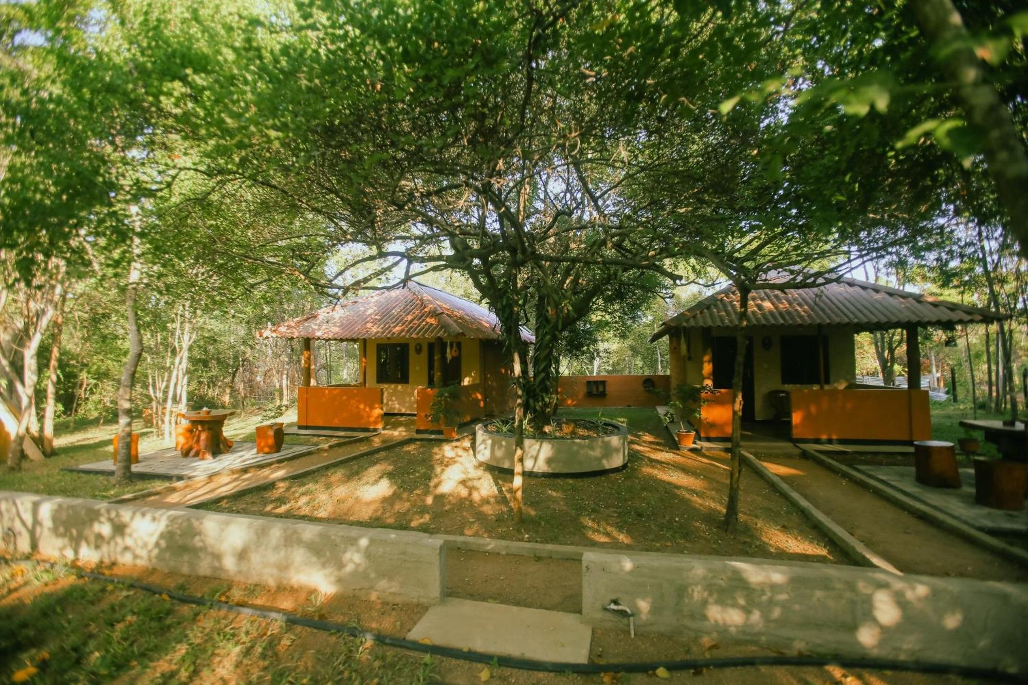 Hotel Niyagala Lodge 锡吉里亚 外观 照片