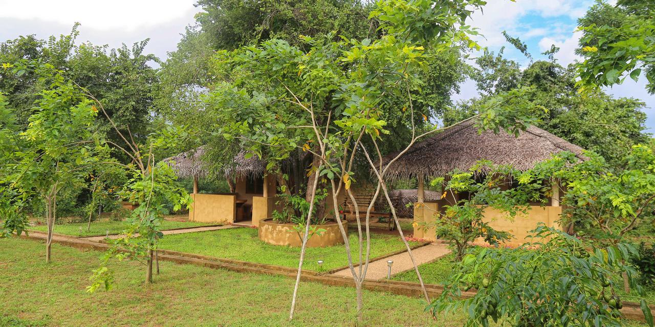 Hotel Niyagala Lodge 锡吉里亚 外观 照片