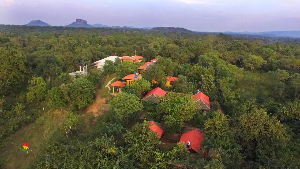 Hotel Niyagala Lodge 锡吉里亚 外观 照片
