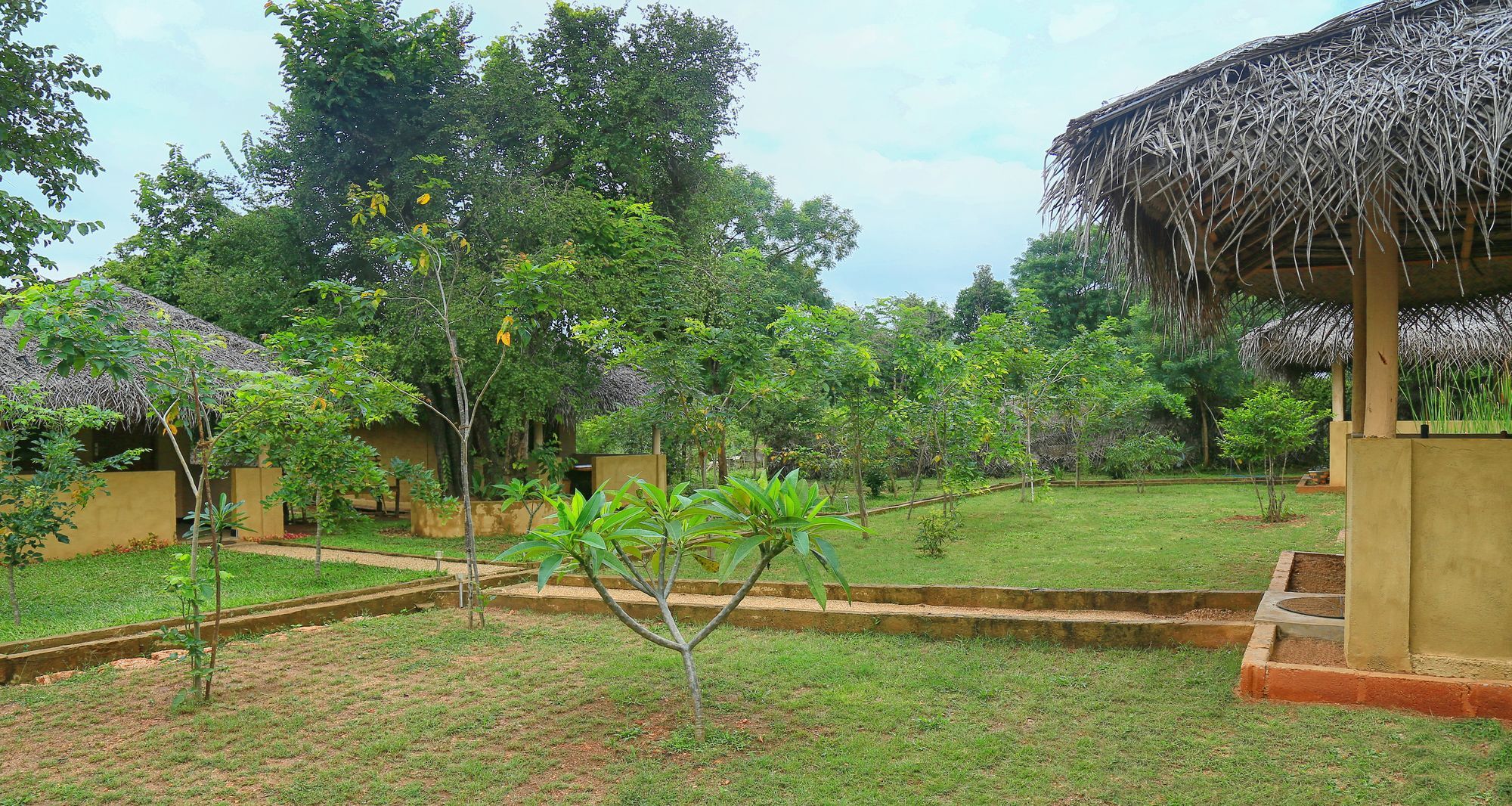 Hotel Niyagala Lodge 锡吉里亚 外观 照片